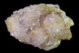 Cactus Quartz (Amethyst) Crystal Cluster - South Africa #137801-1